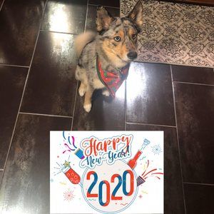 Meet your Posher, Jenn